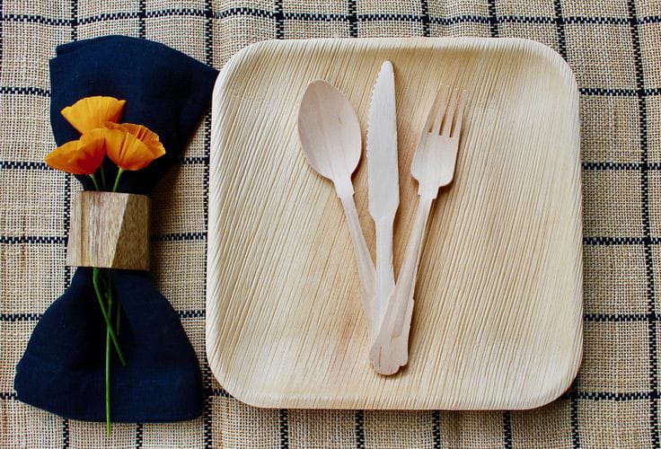 Areca Leaf Plates-Premium Areca Leaf Plates-Premium